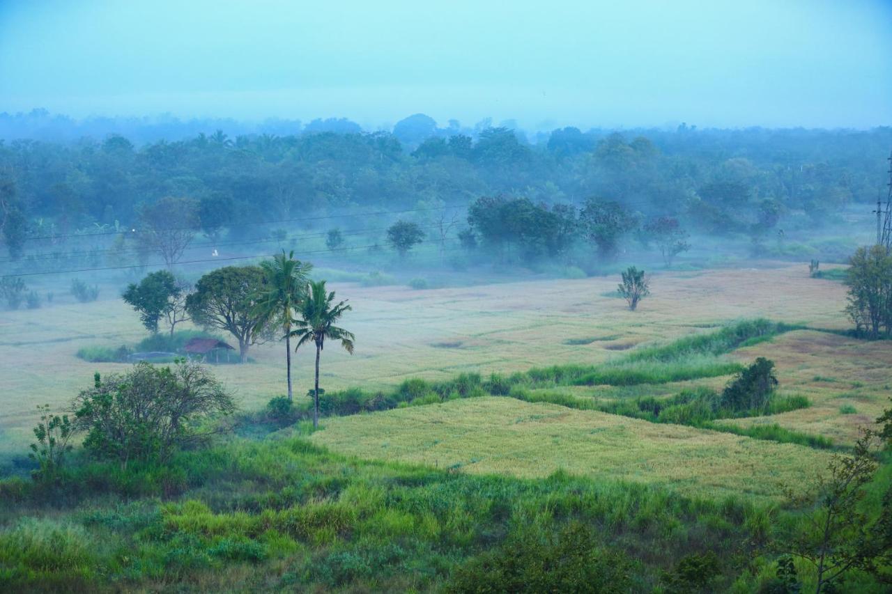 Kaveri Resort Sigirîya Extérieur photo